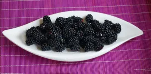 酸甜可口的桑葚图片第张