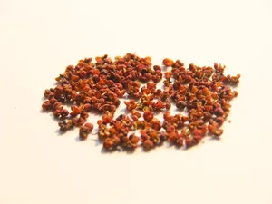 味道特别的花椒图片第张