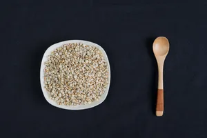 颗粒饱满的薏米图片第张