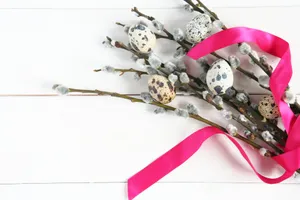 鹌鹑蛋图片第张