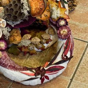 香菇板栗食物图片第张