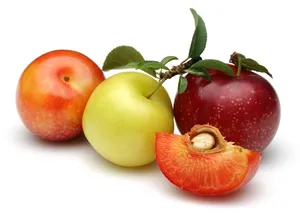 草莓和樱桃图片第张