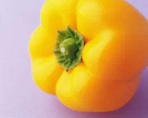 彩色的灯笼椒图片第张