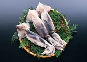 海鲜食材乌贼的图片第张