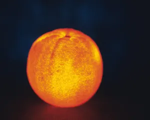 梦幻橙色发光水果图片第张