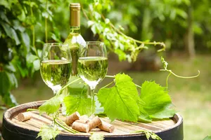 葡萄酒及庄园景色图片第张