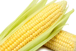 新鲜的嫩玉米图片第张