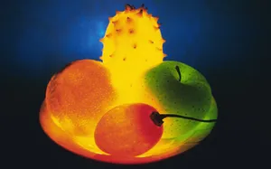 水果灯光图片第张