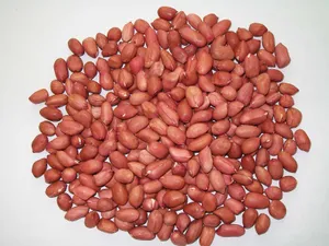 红色的花生米图片第张