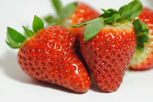 鲜红的草莓图片第张