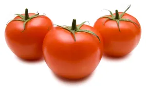 番茄特写图片第张