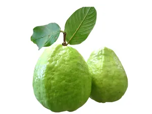 新鲜的番石榴图片第张