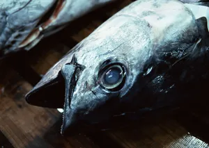 海鲜市场图片第张