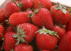 草莓果实图片第张