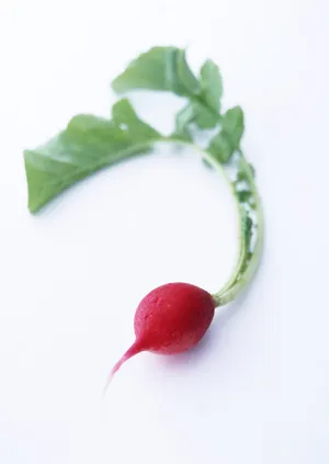 水嫩红萝卜图片第张