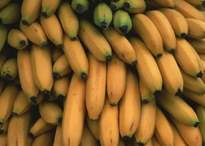 新鲜水果背景图片第张