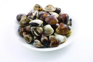 海鲜贝类图片第张