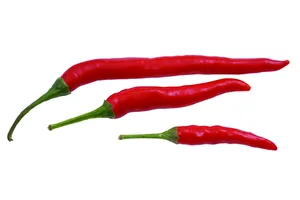 红辣椒、尖椒图片第张