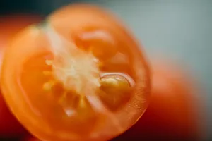 切开的西红柿图片第1张
