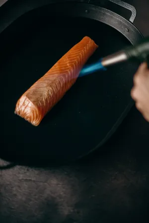 火烧三文鱼图片_1