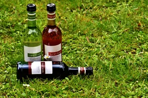 葡萄酒酒瓶图片_1