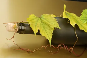 高清葡萄酒图片下载_1