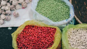 五谷杂粮豆图片_1