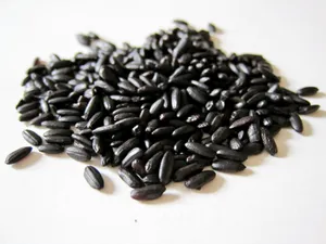 有机黑米杂粮图片