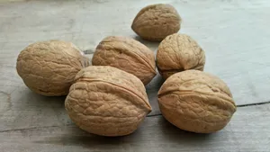 桌面核桃干果图片