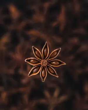 中药八角茴香图片_1