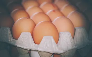 食用鸡蛋图片_1