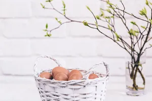 一篮子鸡蛋图片第1张