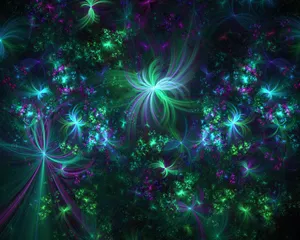 梦幻花朵 第五辑_6