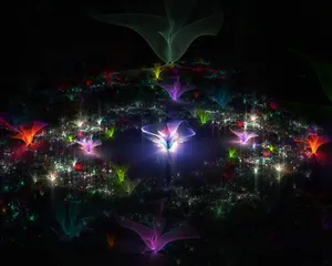梦幻花朵 第五辑_11