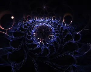 梦幻花朵 第五辑_14