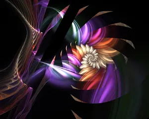 梦幻花朵 第四辑_10