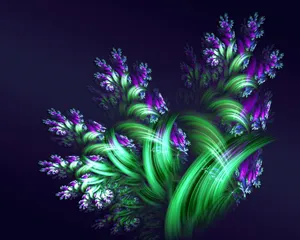 梦幻花朵 第四辑_18