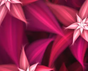 梦幻花朵 第三辑_15