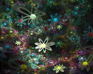 梦幻花朵 第二辑_10