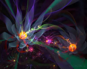 梦幻花朵 第一辑_8
