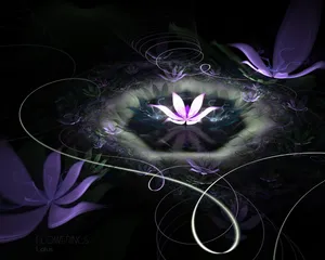 梦幻花朵 第一辑_9