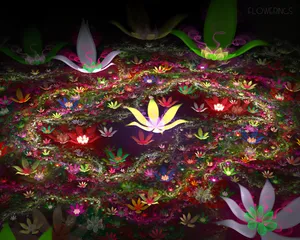 梦幻花朵 第一辑_16