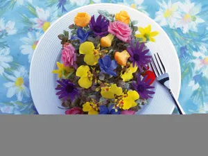 花艺大餐 第二辑_4