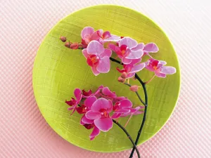 花艺大餐 第二辑_13