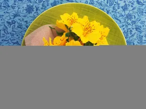 花艺大餐 第一辑_2