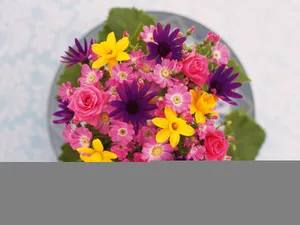 花艺大餐 第一辑_3