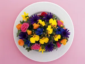 花艺大餐 第一辑_4