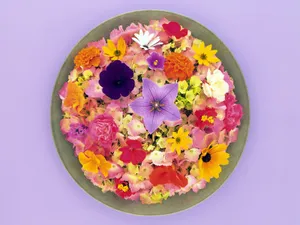 花艺大餐 第一辑_10