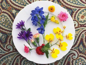 花艺大餐 第一辑_16