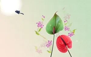 宽屏合成花卉 第一辑_4